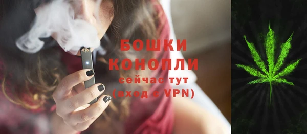 ПСИЛОЦИБИНОВЫЕ ГРИБЫ Алексеевка