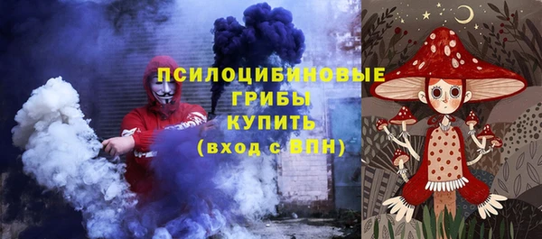 ПСИЛОЦИБИНОВЫЕ ГРИБЫ Алексеевка