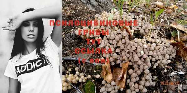 кокаин Алексин